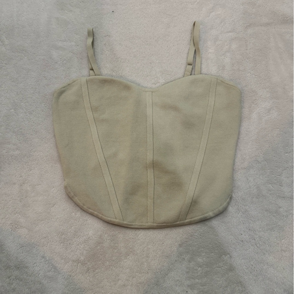 Aritzia Babaton Cropped Corset Top​​​